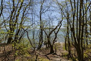 Rad- Wanderweg  entlang am Naturstrand in der Goor