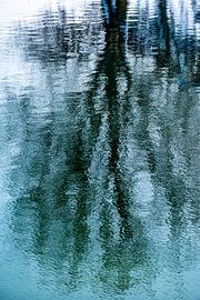 Reflection Tree by Dieter Walther