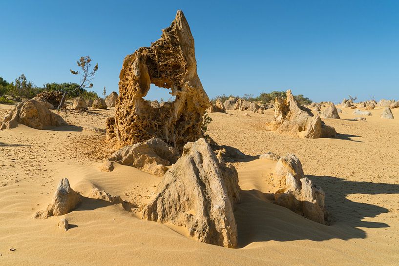 Nambung National Park, Western Australia von Alexander Ludwig
