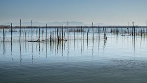 Fischen im Albufera-See