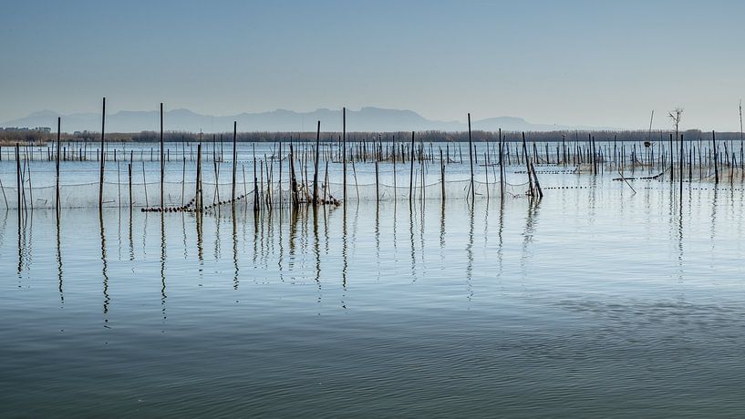 Fishing in Lake Albufera by Frans Nijland