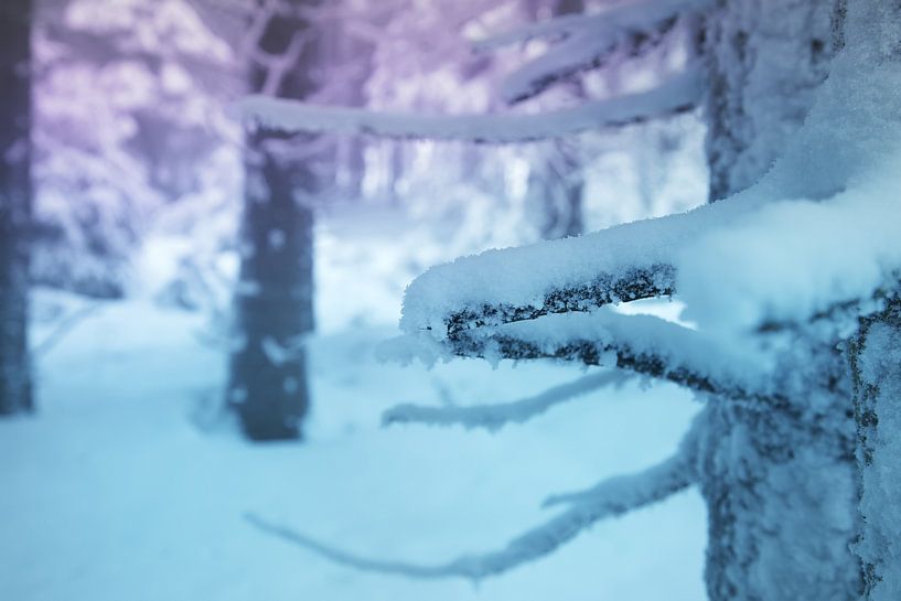Winterlandschap van Bo Valentino