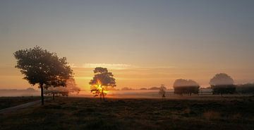 Schöner Sonnenaufgang Leersumse Veld von Moetwil en van Dijk - Fotografie