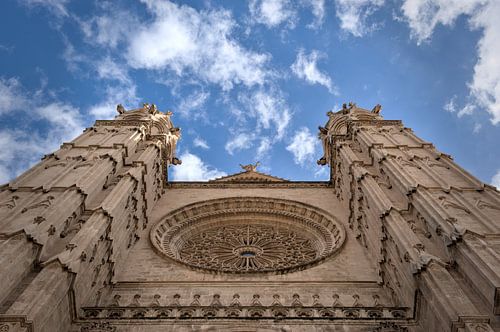 La cathédrale de La Seu à Palma de Majorque vue d'en bas