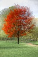 Seasons colors