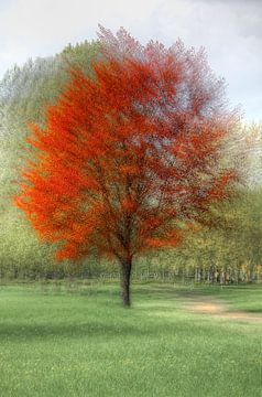 Seasons colors van Patrick LR Verbeeck