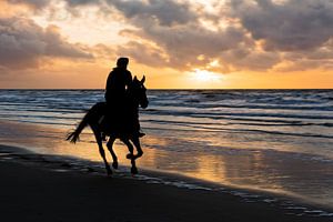 horse and rider galloping on the beach with a sunset sur eric van der eijk