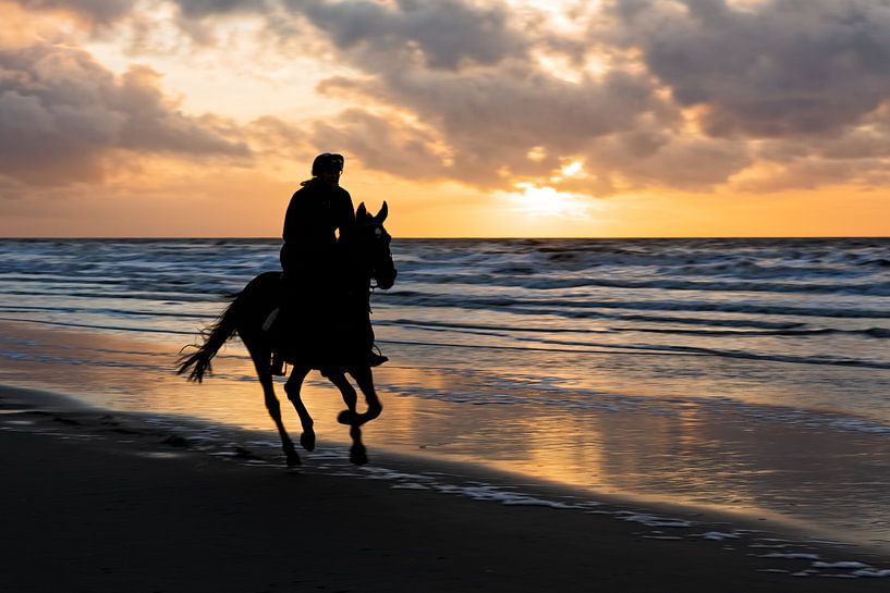 paard met ruiter in galop op het strand von eric van der eijk