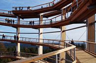 Aussichtsturm Bad Wildbad von Yven Dienst Miniaturansicht