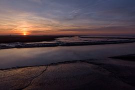 Dollard van Anita Meis