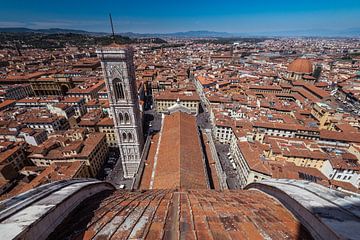 Florence II sur Ronne Vinkx