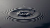 Grijze Waterdruppel / Gray Water Drop