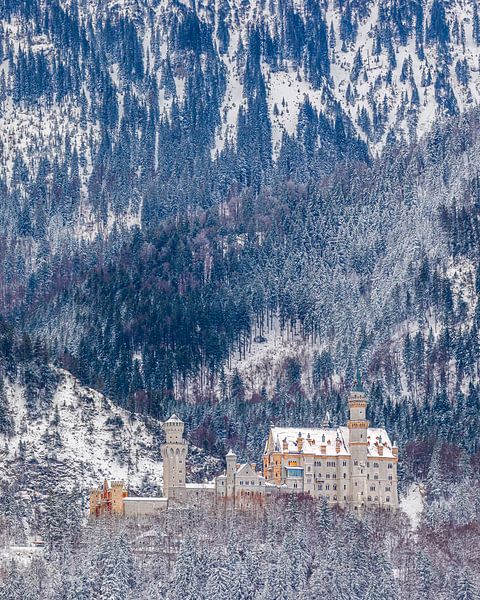 Château de Neuschwanstein, Allgäu, Bavière, Allemagne par Henk Meijer Photography