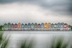 Rietplas Houten van Mark Bolijn