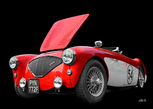 Austin-Healey 100M