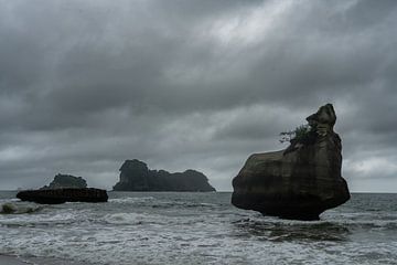Rots in de zee bij Hahei, Nieuw-Zeeland van Niek