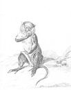 Zittend aapje, een vrucht etend van Jean-Bernard Duvivier van Gave Meesters thumbnail