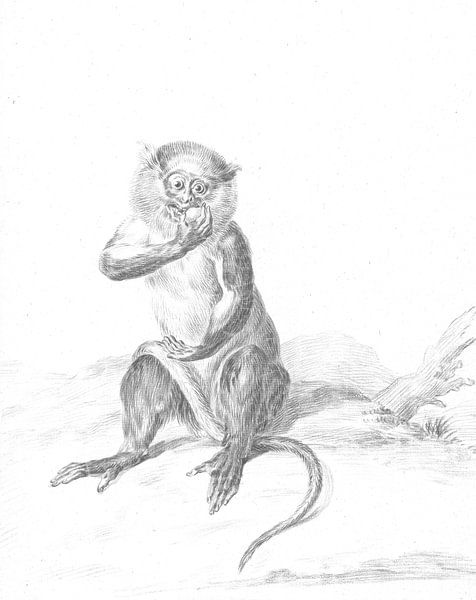 Sitzender Affe, der eine Frucht isst von Jean Bernard, 1775 - 1833 von Gave Meesters