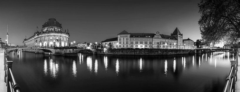 Berlin Panorama- Bodemuseum und Museumsinsel in der Nacht von Frank Herrmann