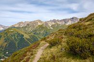 Alpenrosenweg, St. Anton am Arlberg by Johan Vanbockryck thumbnail