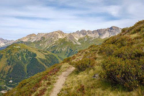Alpenrosenweg, St. Anton am Arlberg
