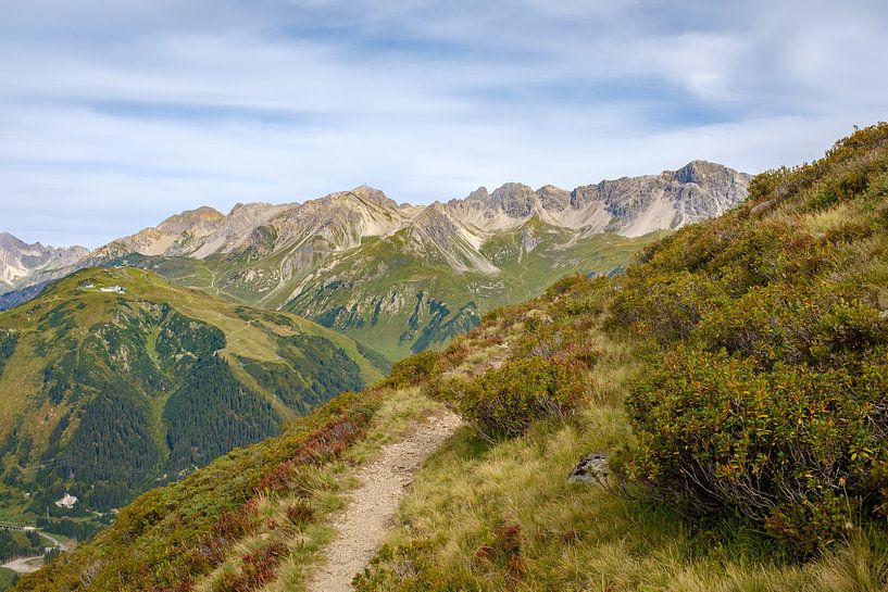Alpenrosenweg, St. Anton am Arlberg by Johan Vanbockryck