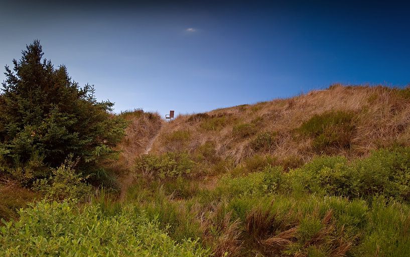 Chair in the dunes by Bo Valentino
