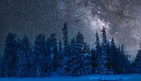 Koude winternacht in Finland van Rietje Bulthuis thumbnail