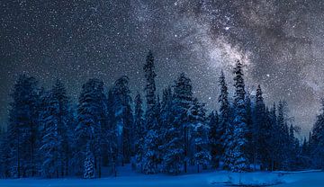 Kalte Winternacht in Finnland