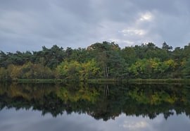 Herbst im Holtingerveld – Drenthe (Niederlande) von Marcel Kerdijk