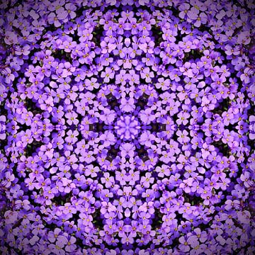 Paarse Violet Mandala van Sabine Wagner