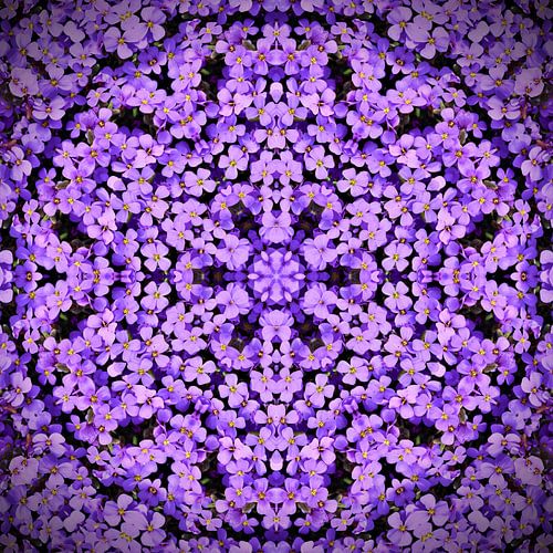 Purple Violet Mandala