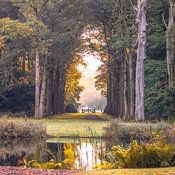 Arjan van den Berg Profile picture