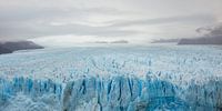 Gletsjer Pinto Moreno in Patagonië, Argentinië von Armin Palavra Miniaturansicht