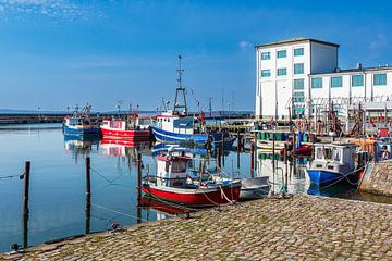 Fischerboote im Hafen von Sassnitz auf der Insel Rügen von Rico Ködder