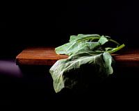 photo of a beet leaf in colour