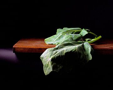 photo of a beet leaf in colour by Monki's foto shop