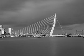 Skyline of Rotterdam in black and white