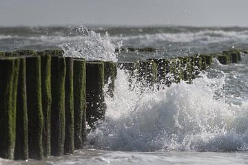 Wellen plätschern an den Wellenbrechern in Burgh - Haamstede, Zeeland von Marjolijn van den Berg