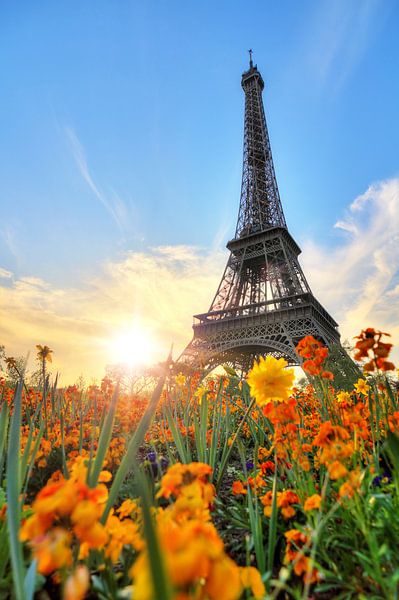 Flowers in spring at the Eiffel Tower by Dennis van de Water
