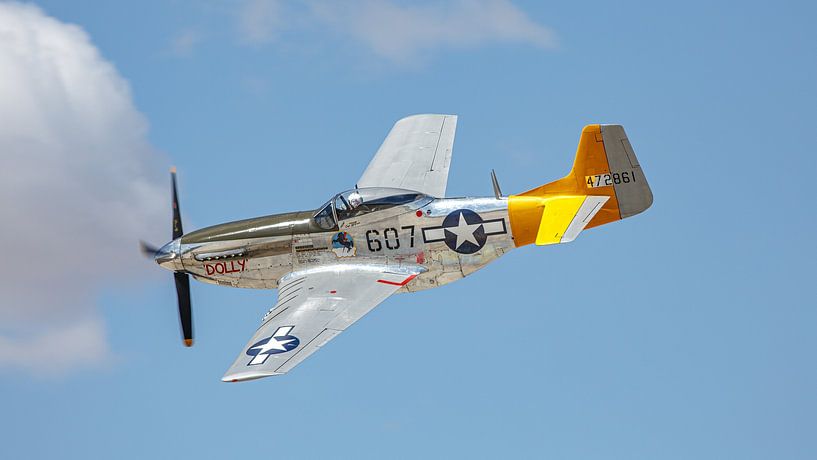 North American P-51D Mustang Spam Can - Dolly. by Jaap van den Berg
