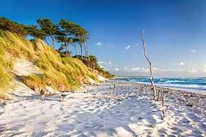 Weststrand auf dem Darß von Sascha Kilmer