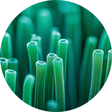 Abstracte organische close-up