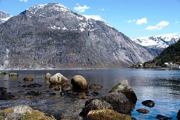 fjorden noorwegen van Nienke Stegeman