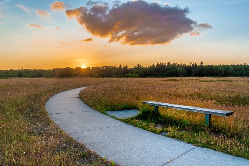 Sonnenuntergang auf dem Dwingelderveld von Dieverdoatsie Fotografie