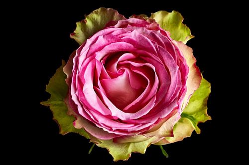 Vintage Roze Pink Heart