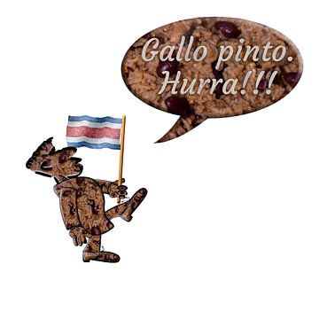 Costa Rican gallo pinto Hurra van Grüntyers .