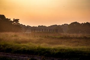 Grafheuvel de Regte Heide van Dennis Kluytmans