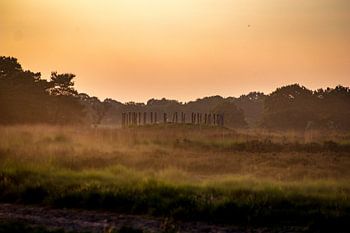 Grafheuvel de Regte Heide
