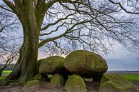 Hunebed D21 een monument in het landschap van Gerry van Roosmalen thumbnail